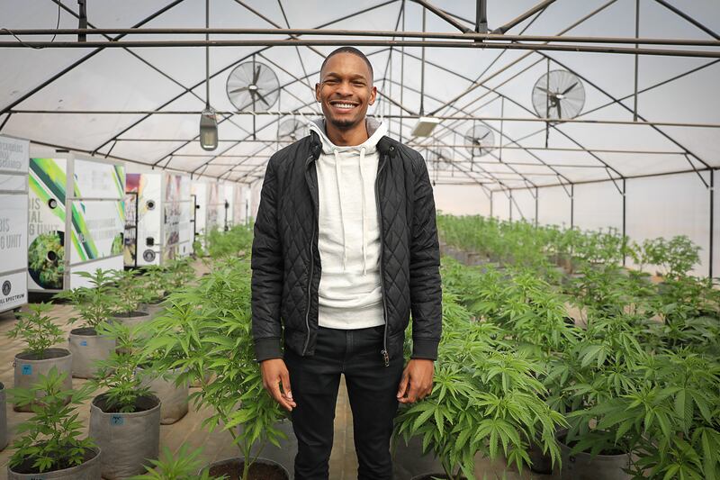 Kwanda Mtetwa, 32, is the first person in SA to receive a legal prescription for medical marijuana. Here he is pictured in a Full Spectrum growing room.
