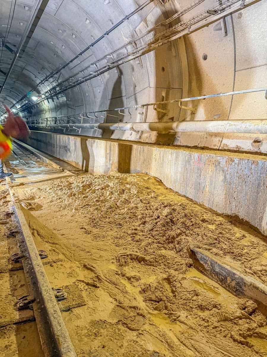 Ground and water seeped into the tunnel under Killarney, forcing the suspension of Gautrain services between Rosebank and Park station.