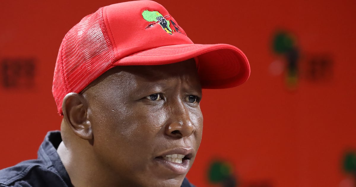 Malema stellt einen Eilantrag auf sechsmonatige Haftstrafe für Ngizwe ...